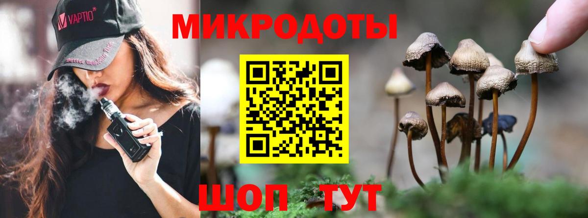 Галлюциногенные грибы Magic Shrooms Ставрополь